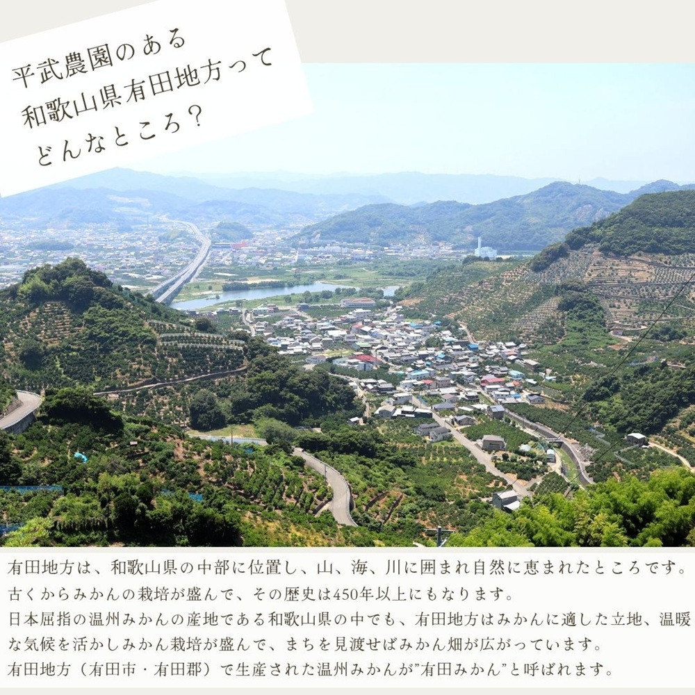 農家直送！なつみオレンジ 3kg 訳あり≪サイズ混合≫【平武農園】～蛍飛ぶ町から旬の便り～