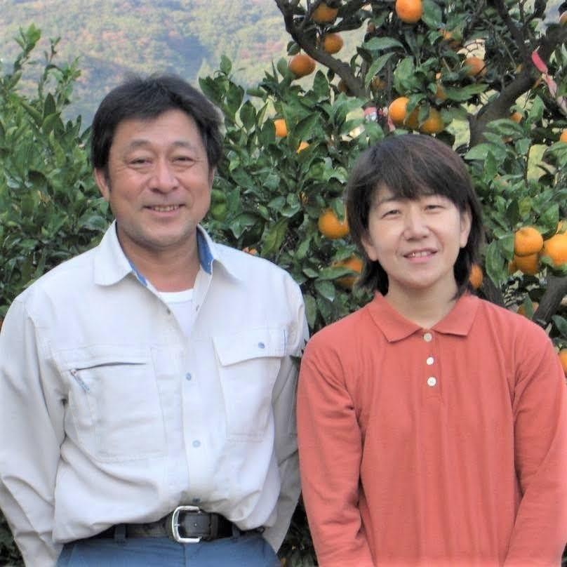 無添加100％みかんジュース3本セット【平武農園】～蛍飛ぶ町から旬の便り～