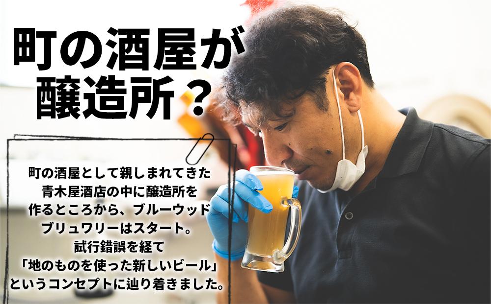 【定期便全12回】和歌山の地ビールブルーウッドブリュワリー飲み比べ6本セット