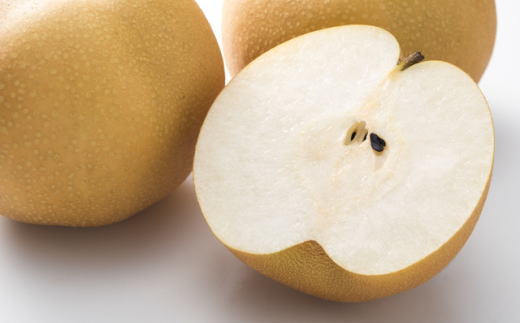 [厳選・産直]有田産の梨(豊水)約4kg★2026年8月中旬頃より順次発送