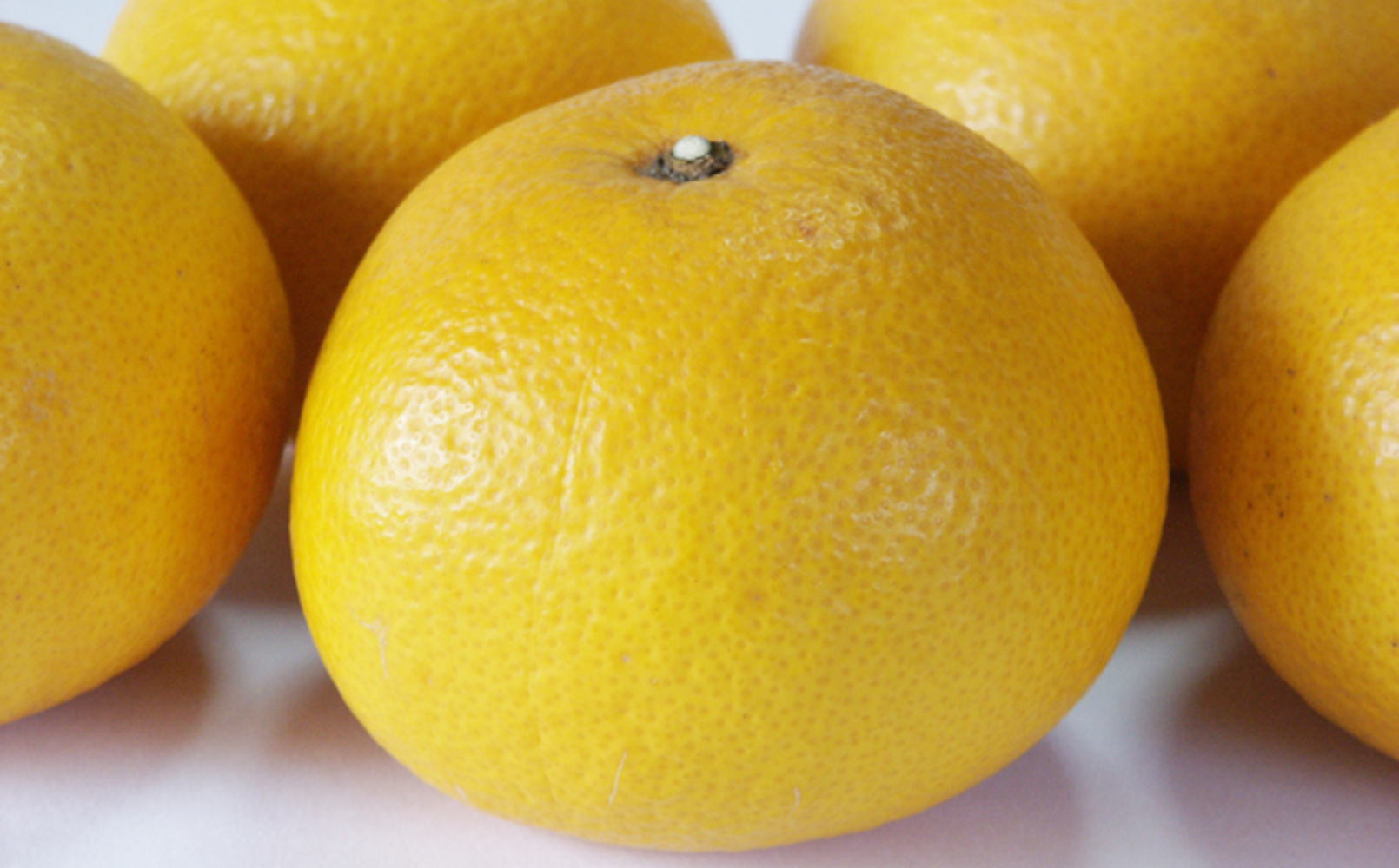 こだわりの和歌山有田産木成り熟成さつき八朔約7.5Kg(M～２Lサイズおまかせ) ★2026年3月下旬頃より順次発送