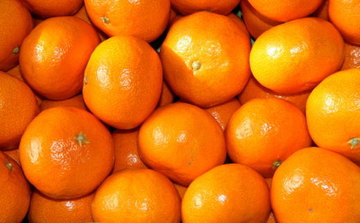 [秀品]和歌山有田みかん約6kg(3Lサイズ) ★2025年11月中旬頃より順次発送