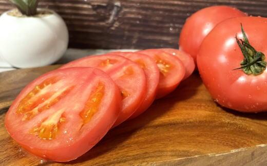 長峰高原 有田産 桃太郎トマト 約3kg ★2025年8月より順次発送 有田川町