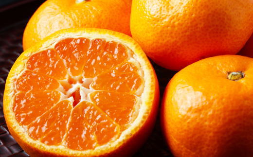 ［高糖系］貯蔵越冬丹生系みかん約5kg（S～Lサイズおまかせ）★2026年2月下旬頃より順次発送