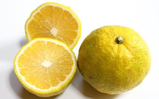 ［訳あり品］有田産のじゃばら果実約3kg