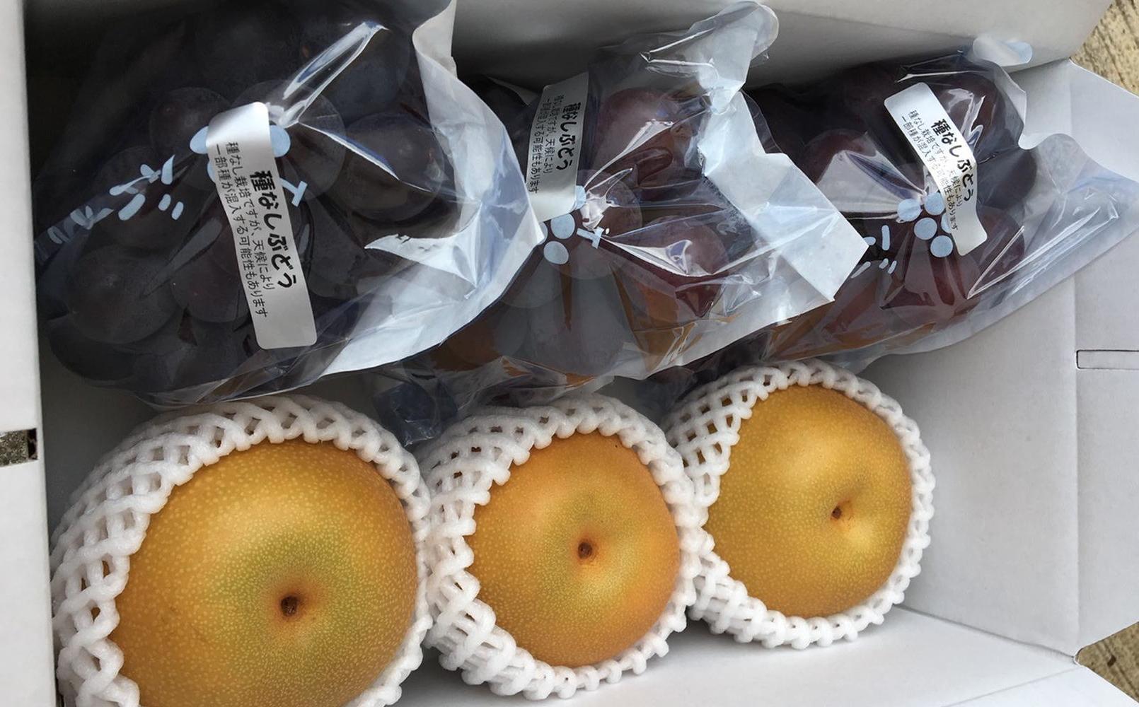 【数量限定】梨とたなねし巨峰の詰め合わせ 約2kg