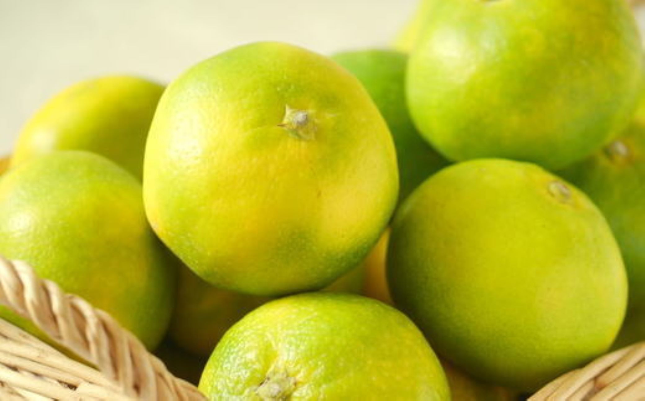 【秀品】有田産極早生みかん約5kg(2S～Lサイズ混合)★2026年10月中旬頃より順次発送