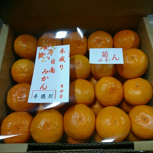 有田みかん  秀品 3kg（箱込み）+痛み保障増量　木成り完熟【贈答用】大ちゃんの畑農園