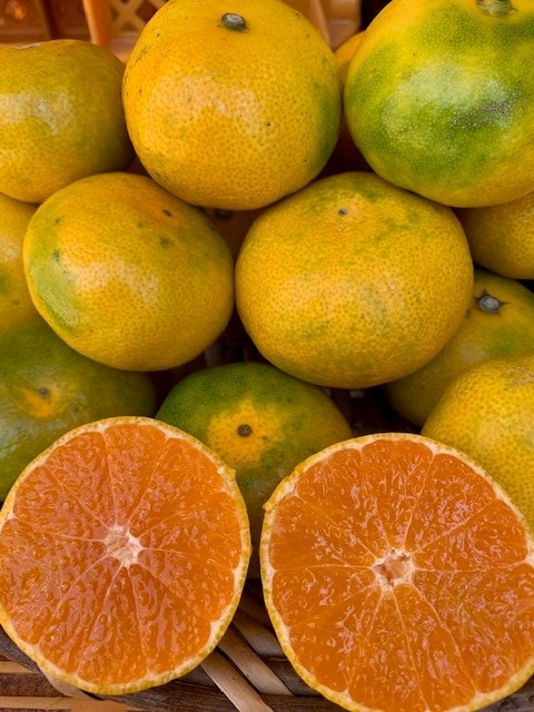 極早生みかん 赤秀品 Lサイズ 5kg