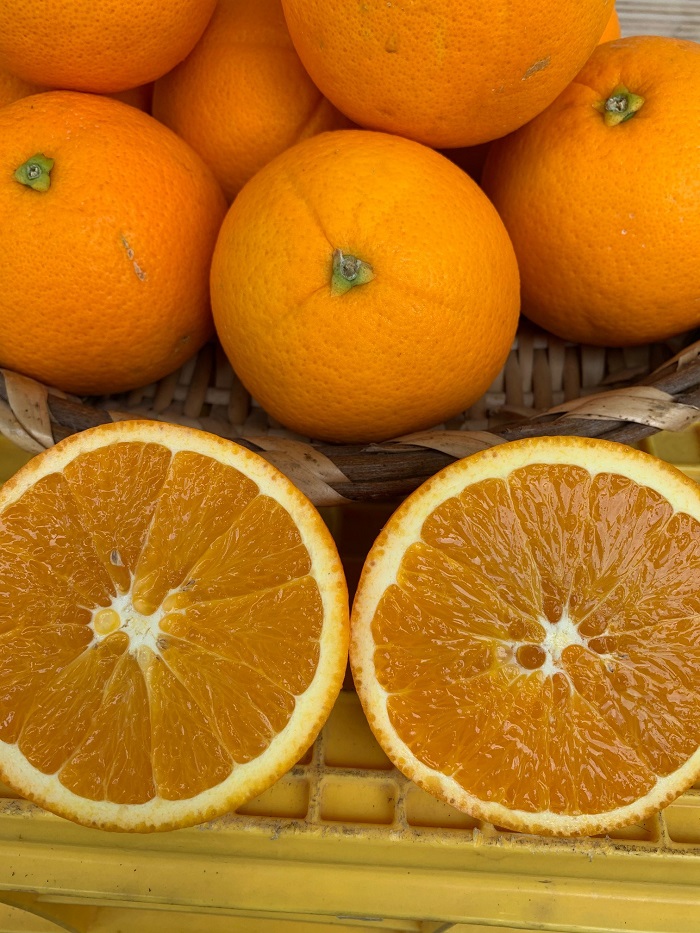 完熟ネーブルオレンジ 赤秀品 5kg（М・L・2L/サイズ指定不可）