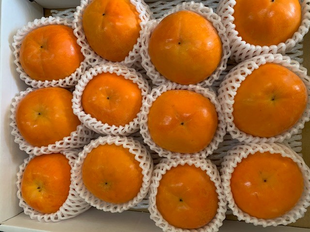 富有柿 赤秀品 Lサイズ 化粧箱（12~13個）