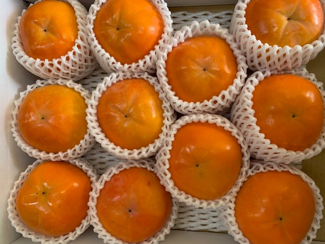 富有柿 赤秀品 2Lサイズ 化粧箱（11個）