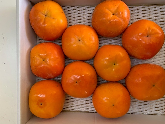 富有柿 赤秀品 3Lサイズ 化粧箱（10個）