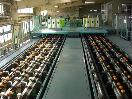 有田みかん 5kg 2Sサイズ 光センサー使用 高糖度