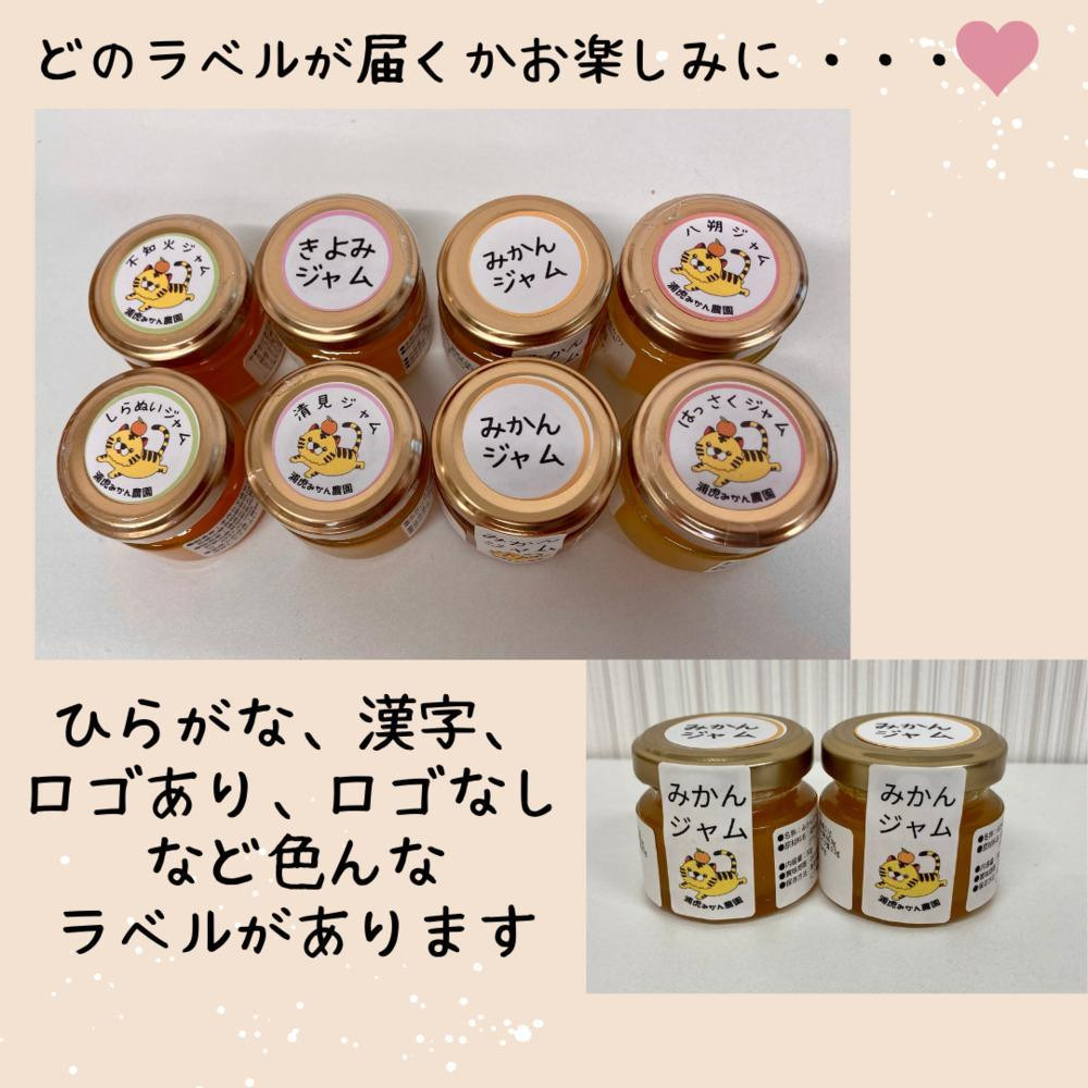 【2026年3月以降順次発送】数量限定！店主にお任せ 無添加 柑橘ジャム140ｇ×12個