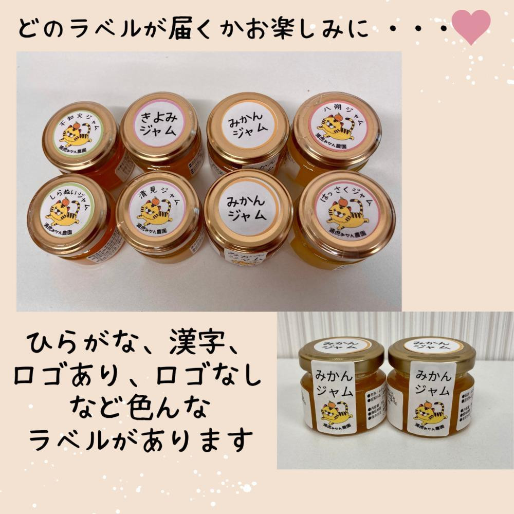 【2026年3月以降順次発送】数量限定！店主にお任せ 無添加 柑橘ジャム140g×3個