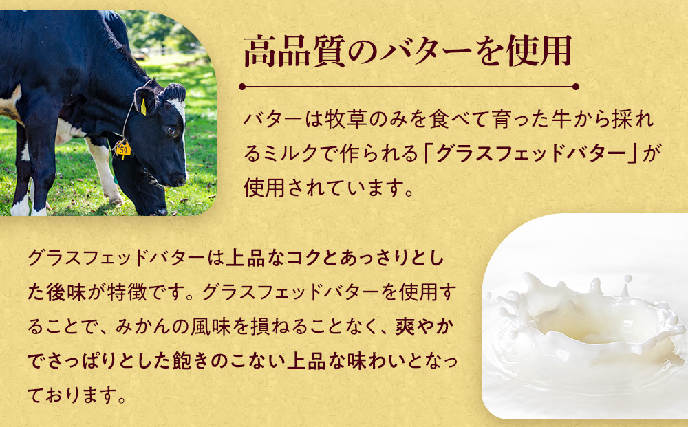 みかんバター 1本入 ( アルギットみかん果汁使用 無添加 ) | 国産 バター 濃厚 コク みかん 有田みかん こだわり おいしい 甘い おすすめ スイーツ フルーツ 果物 パン トースト 食パン アレンジ お供 ギフト お取り寄せ 送料無料 和歌山県 有田川町