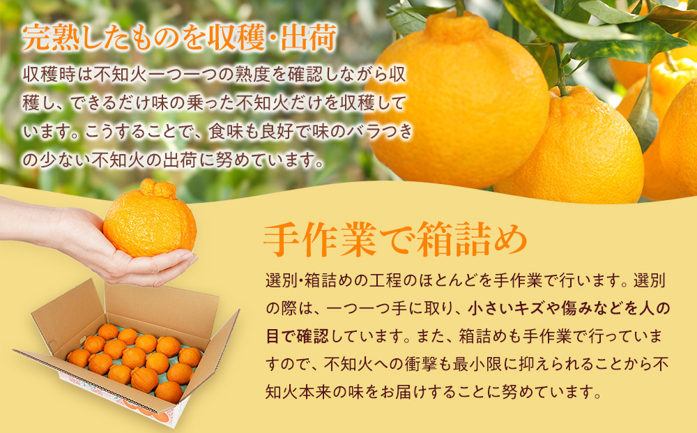 アルギット 不知火 約5kg 大玉 サイズ（15～18玉）| 先行予約 不知火 デコ みかん 甘い おいしい ジューシー 完熟 期間限定 数量限定 フルーツ 果物 柑橘 人気 おすすめ 高級 こだわり ギフト 旬 お取り寄せ 送料無料 和歌山 有田川町