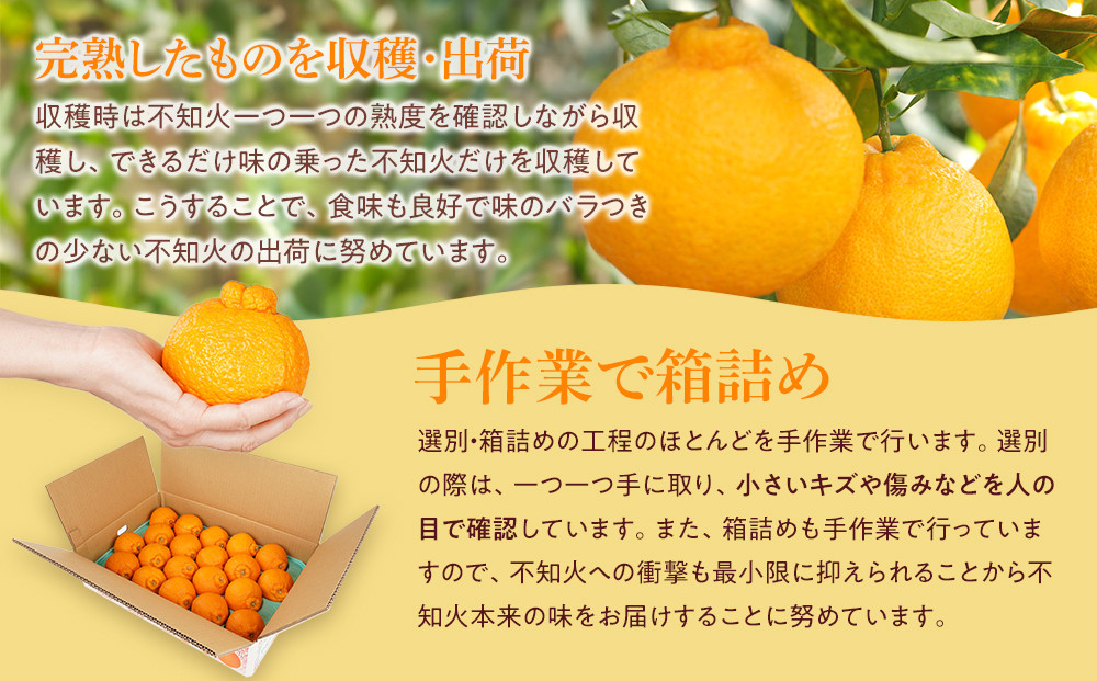 アルギット 不知火 約5kg 中玉 サイズ（20～22玉）| 先行予約 不知火 デコ みかん 甘い おいしい ジューシー 完熟 期間限定 数量限定 フルーツ 果物 柑橘 人気 おすすめ 高級 こだわり ギフト 旬 お取り寄せ 送料無料 和歌山 有田川町