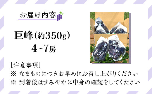 先行予約 和歌山 有田産 巨峰 約2kg 4〜7房 ぶどう フルーツ 果物［2026年8月下旬以降発送］