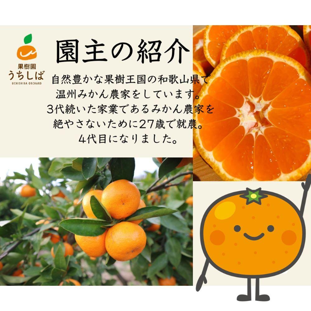 和歌山県産 濃厚な甘さ 早生みかん 10kg 農家直送