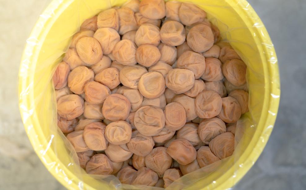 百福梅　二福詰合せセット有田みかん蜂蜜梅300ｇ・うす塩味梅300ｇ