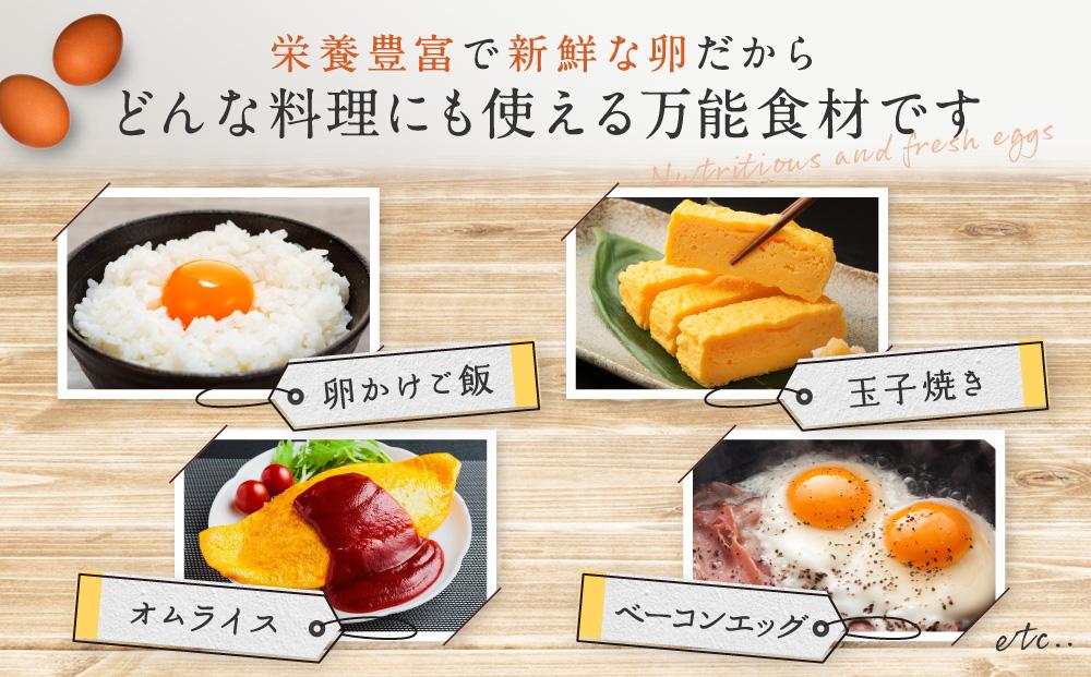 3か月定期便 おいし高原 庭さき卵 Lサイズ 20個入り 【全3回お届け】