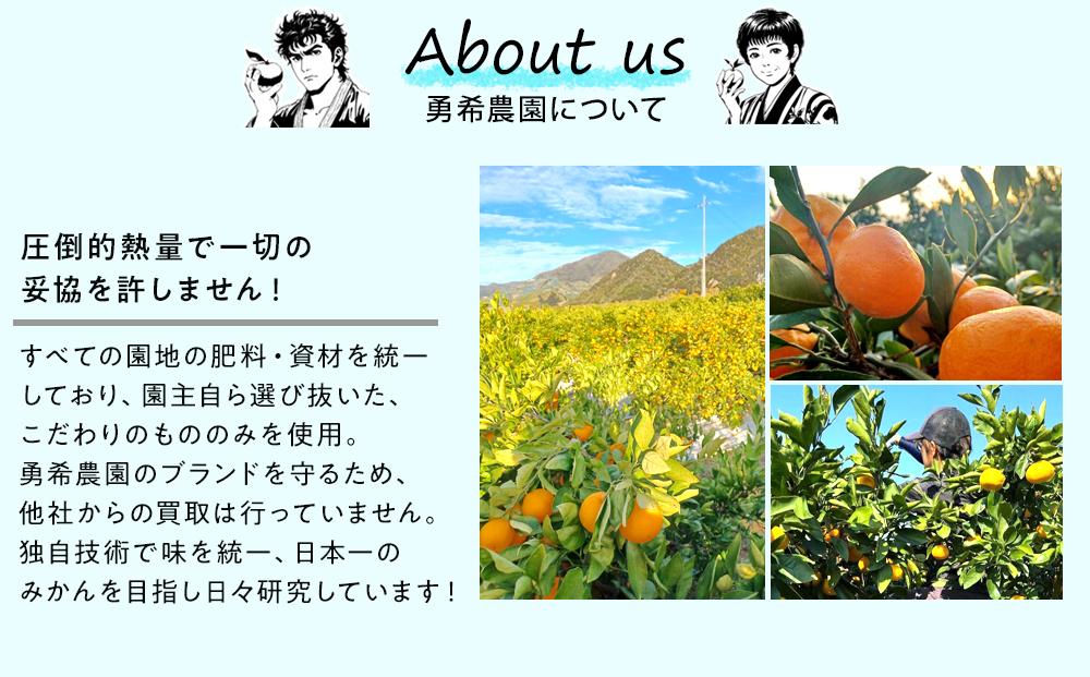 先行予約早生みかん 約5kg サイズ混合 和歌山県 有田みかん  2025年11月中旬頃発送