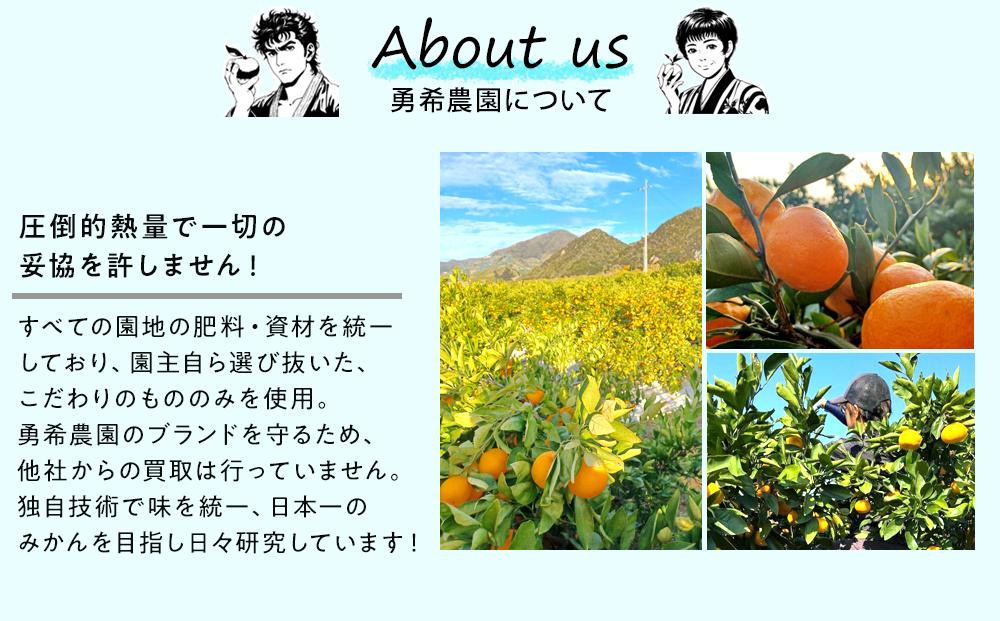 先行予約早生みかん 約6kg（約3kg×2箱）サイズ混合 和歌山県 有田みかん 2025年11月中旬頃発送