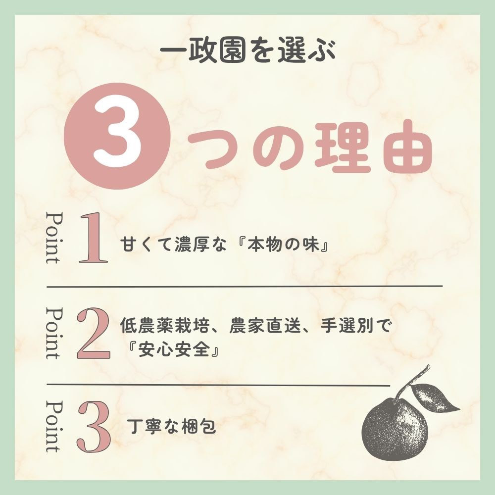 【ふるさと納税】【先行予約】 不知火 2kg 訳あり サイズ混合 柑橘 フルーツ  産地直送 お取り寄せ 送料無料