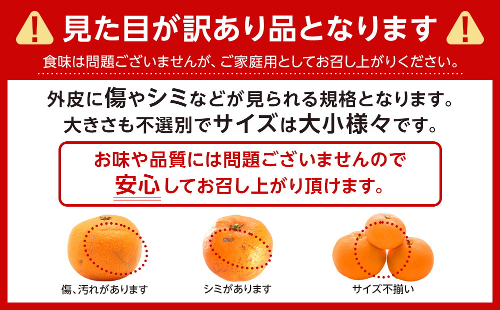 ［先行予約］ご家庭用 有田みかん 約2kg 2S～Lサイズ 混合