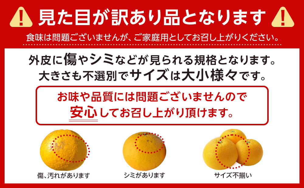 ［先行予約］ご家庭用 はっさく約4kg 大小サイズ 混合