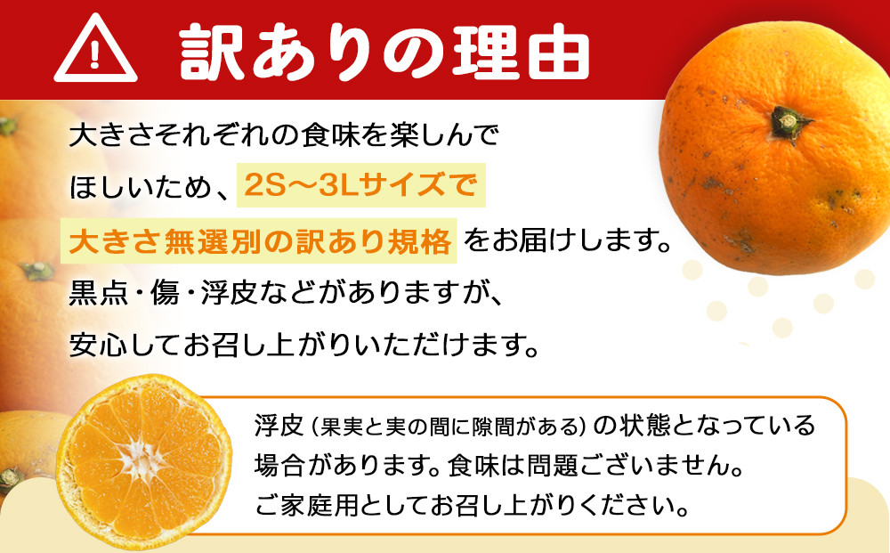 手が止まらない 訳あり 有田みかん 約3kg 大きさ無選別（2S〜3L） 糖度11度以上 鳴川農園 　［2026年11月以降発送予定］