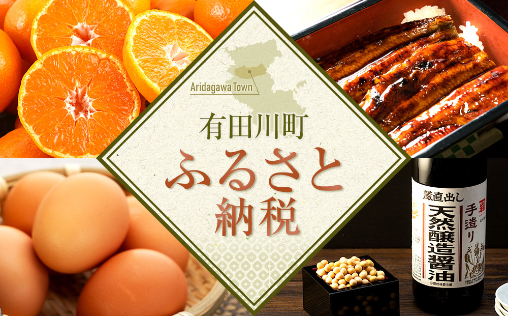 Nファーム 奇跡の有田みかんジュース 500ml × 2本 化粧箱入り