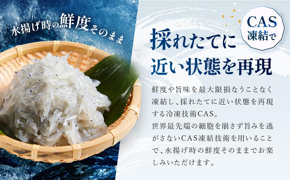 CAS凍結 生しらす セット 和歌山県産 冷凍 200g × 2袋 + 50g × 5袋 合計 650g