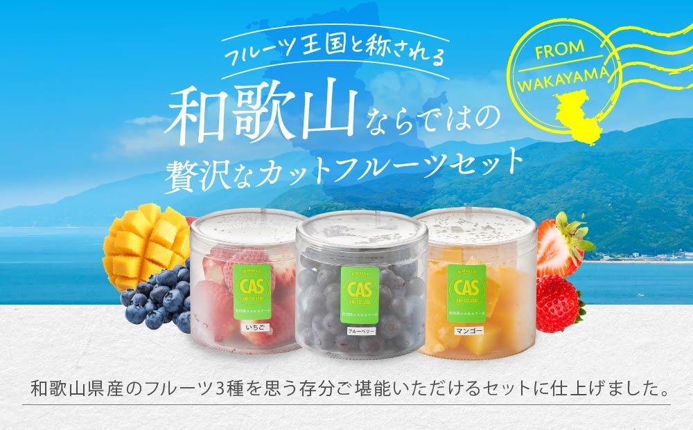 CAS凍結 和歌山県産 カットフルーツ いちご  マンゴー ブルーベリー 詰め合わせ 約100g × 6パック 合計約600g