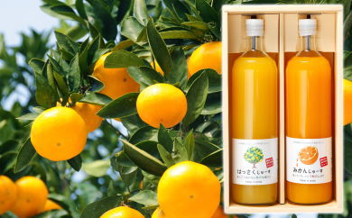 和歌山みかんジュース2種類セット（750ml×2本入）果汁100％無添加ストレート