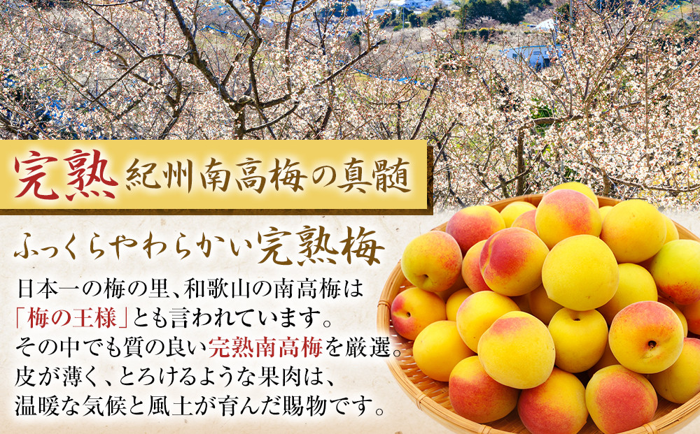 梅干し 猿梅 はちみつ梅 塩分8％ 900g