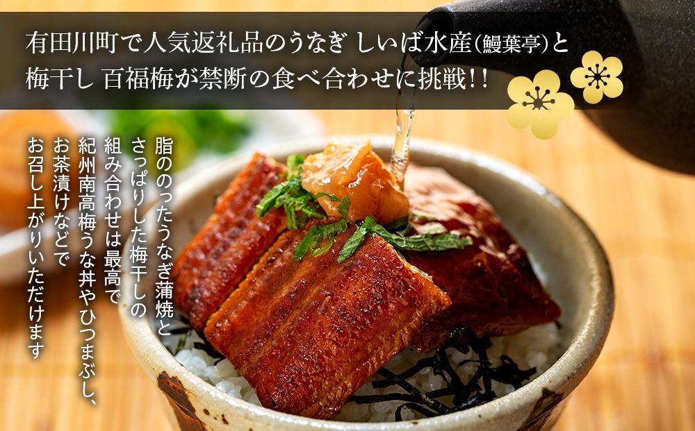 紀州南高梅 うな丼 うなぎ蒲焼 240g  × 紀州南高梅干  80g 有田みかん蜂蜜 塩分7％  約3人前