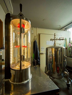 【定期便全12回】和歌山の地ビールブルーウッドブリュワリー飲み比べ6本セット