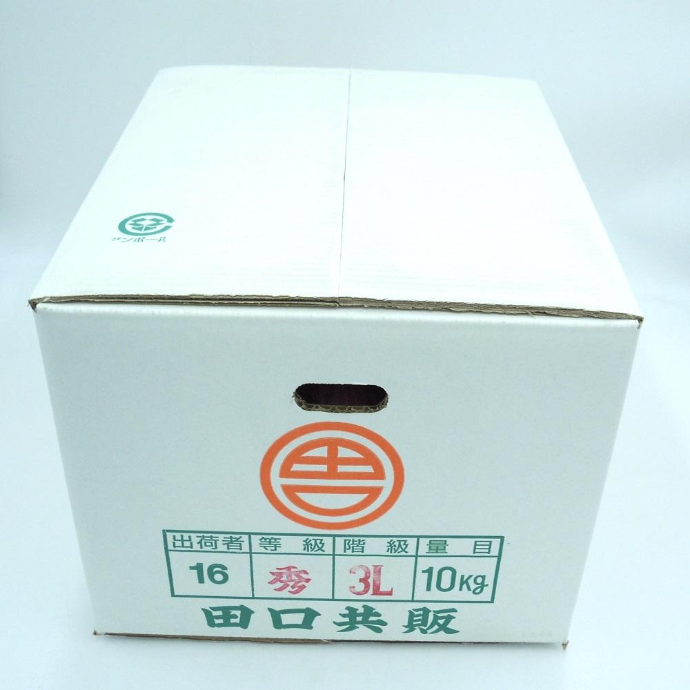 和歌山県産 田口の甘夏 秀品 10キロ 2Ｌ～3Ｌ（約23～21玉） サイズおまかせ