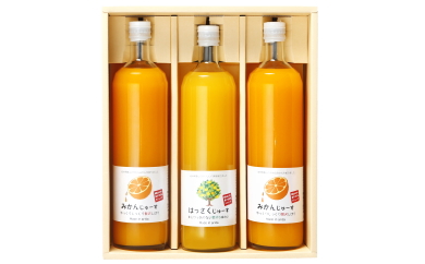 和歌山みかんジュース2種類セット（750ml×3本入り）果汁100％無添加ストレート