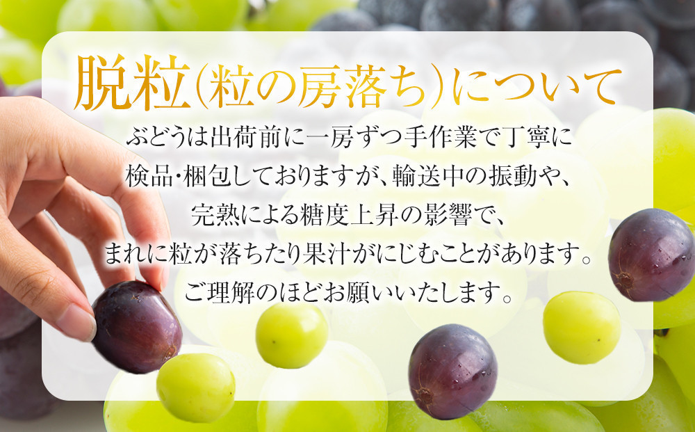 数量限定 訳あり 不揃い 有田産 巨峰 約 2kg 有田 巨峰村 森下農園 ぶどう 送料無料 フルーツ