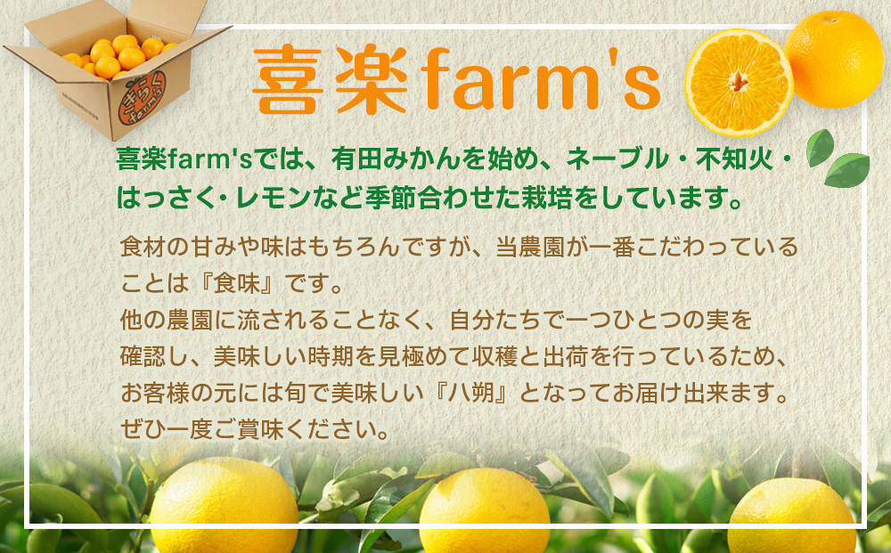 【産地直送】☆八朔☆サイズ混載（M～２L）☆9kg