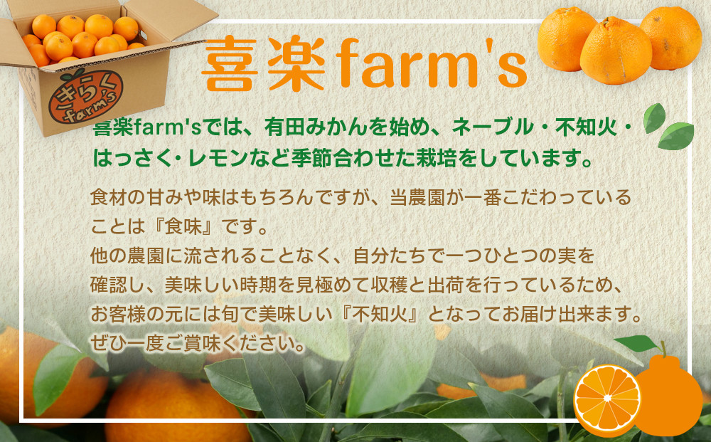 【産地直送】☆不知火☆家庭用☆約10kg