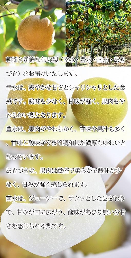 ジューシー果汁の紀州有田産の梨　３玉　化粧箱入【先行予約】【2025年8月下旬以降発送予定】