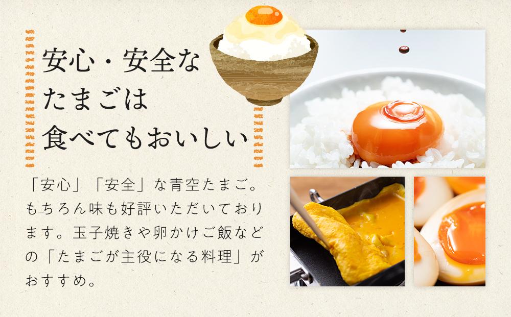 有田の青空たまご ササキのたまご Mサイズ 30個入