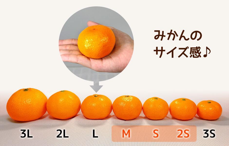 めっちゃ甘いんじゃみかん 糖度12度以上 2kg（内容量1.8kg）特選品 M・S・2Sサイズのいずれか 和歌山県産 S品 贈答用［2025年11月中旬より2026年1月中旬頃順次出荷予定］［みかんの会］