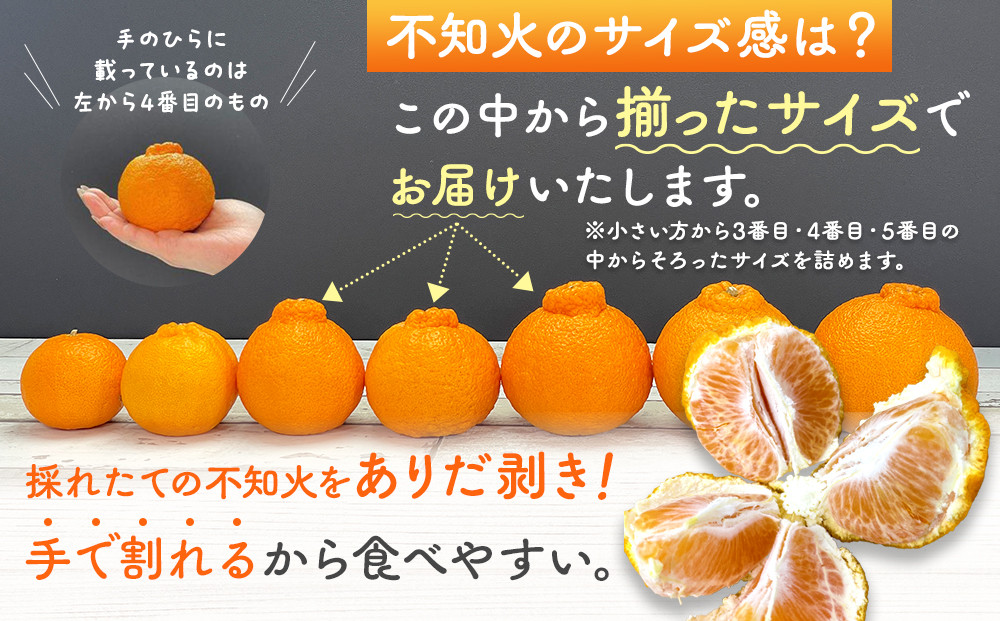 不知火 (しらぬい) 秀品 玉ぞろい 箱込 5kg (内容量約4.4kg)  和歌山県産 産地直送［みかんの会］