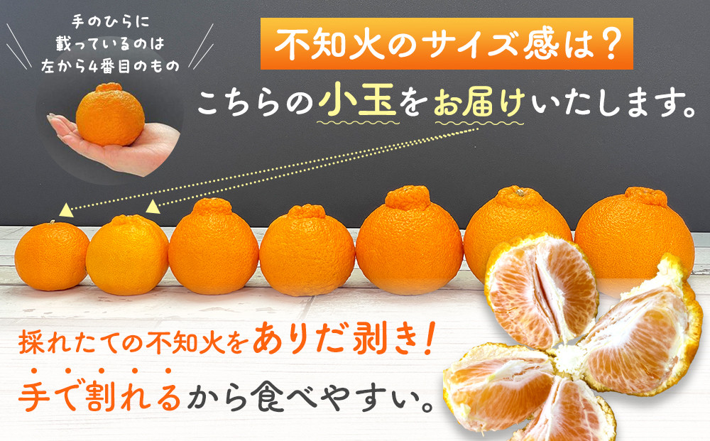 不知火 とにかく 小玉 箱込 2.5kg (内容量約 2.3kg) 秀優品混合 和歌山県産 産地直送［みかんの会］